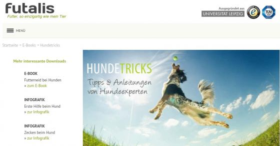 Gratis E-Book für Erziehung & Beschäftigung von Hunden!